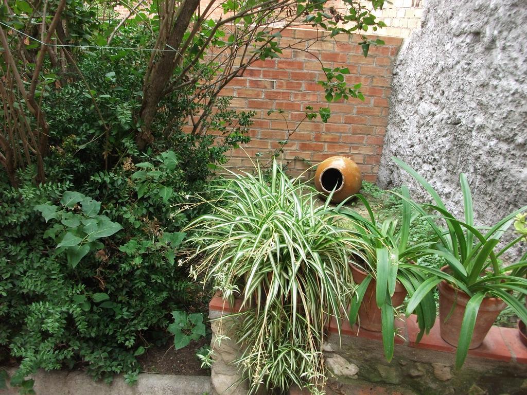 Ca La Paula Villa Pla del Panades ภายนอก รูปภาพ